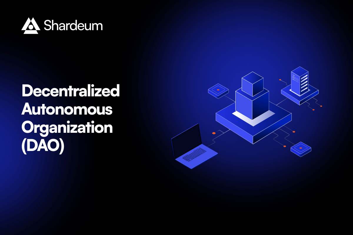 DAO voting public blockchain audit